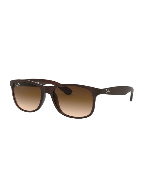 Ray Ban Andy RB4202 607313