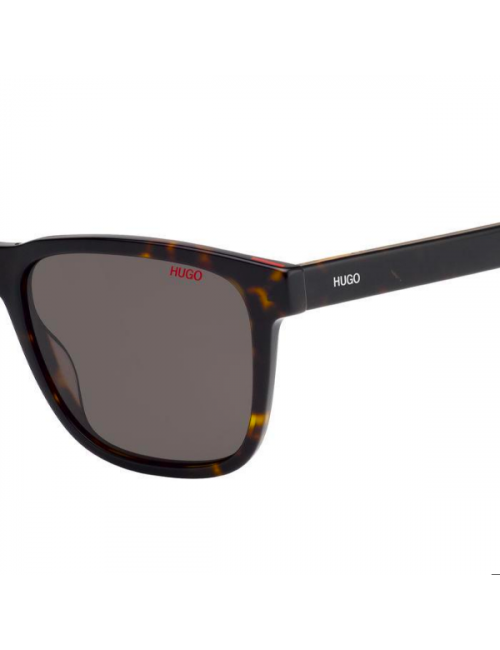 Hugo Boss HG 1073/S TTB