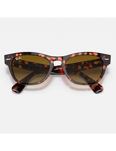 Ray Ban RB2201 133451