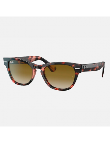 Ray Ban RB2201 133451