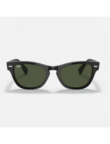 Ray Ban Laramie RB2201 901/31