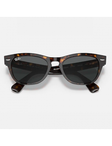 Ray Ban Laramie RB2201 902/B1