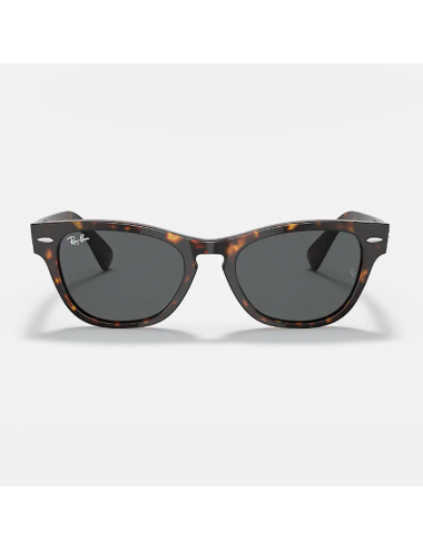 Ray Ban Laramie RB2201 902/B1