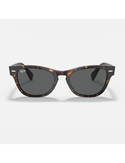 Ray Ban Laramie RB2201 902/B1