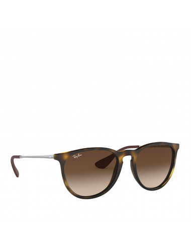 Ray Ban Erika RB4171 865/13