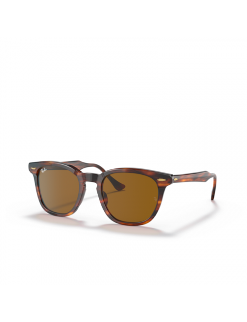 Ray Ban RB2298 954/33