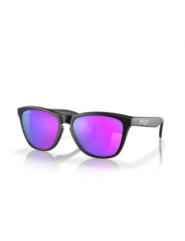 Oakley Frogskins OO9013 9013H6