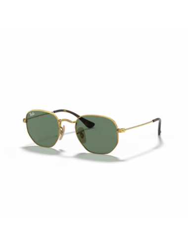 Ray Ban Junior Hexagonal RJ9541SN 223/71