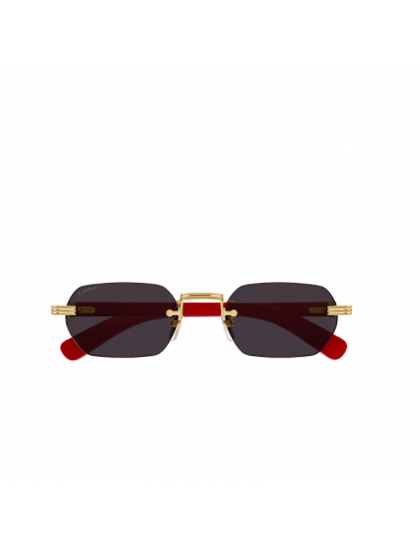 Cartier Exception CT0362S 004