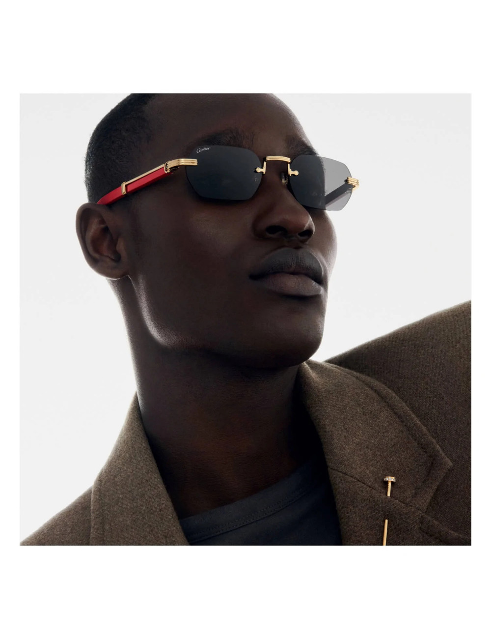 Cartier Aviator Sunglasses for Men for sale | eBay-mncb.edu.vn