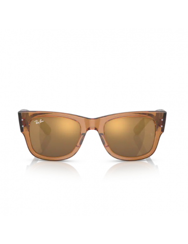 Ray Ban Mega Wayfarer RB0840S 663693