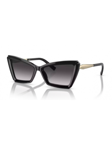 Tiffany & Co. TF4203 women sunglasses
