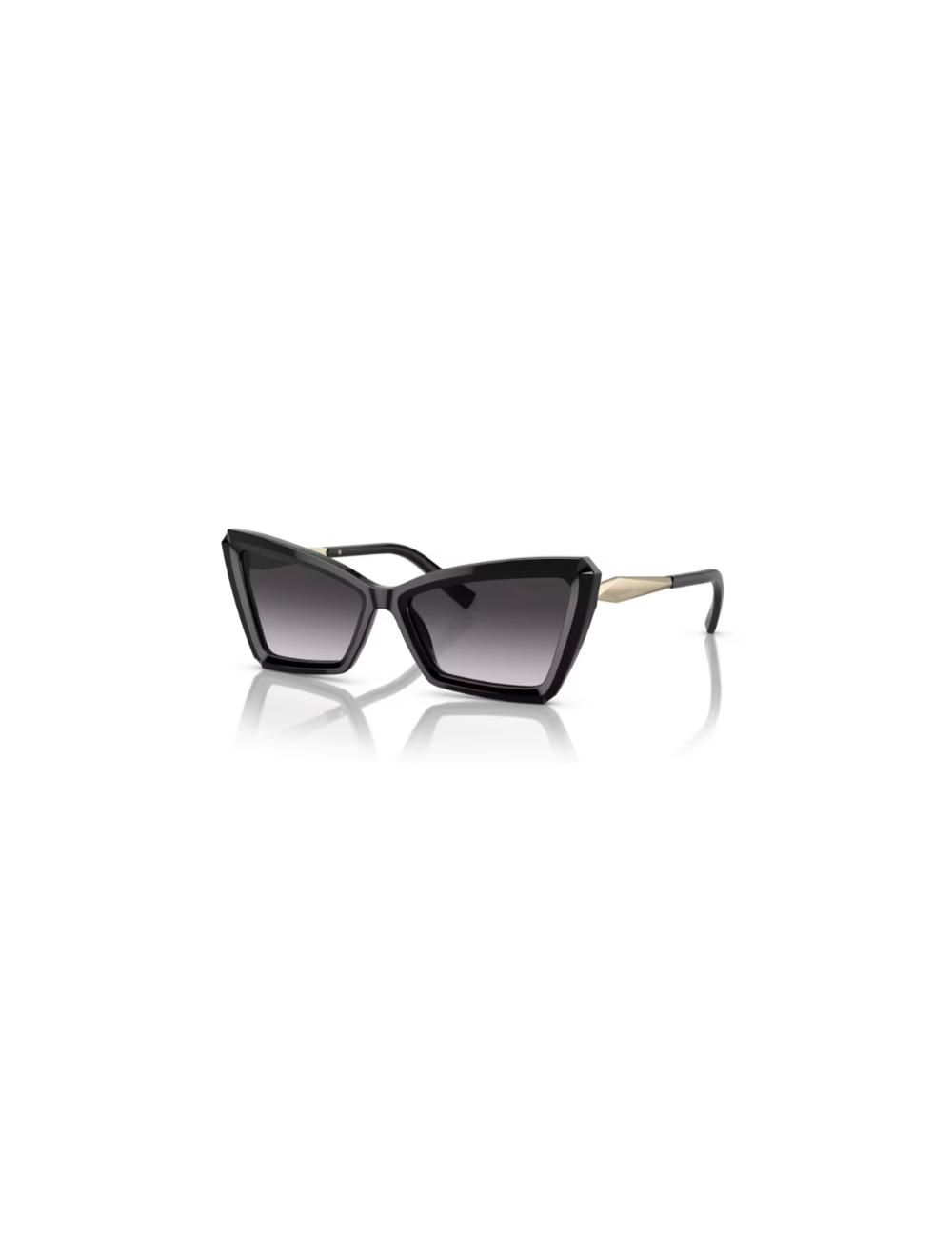 Tiffany & Co. TF4203 women sunglasses