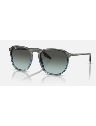 Ray Ban RB2203 1391GK