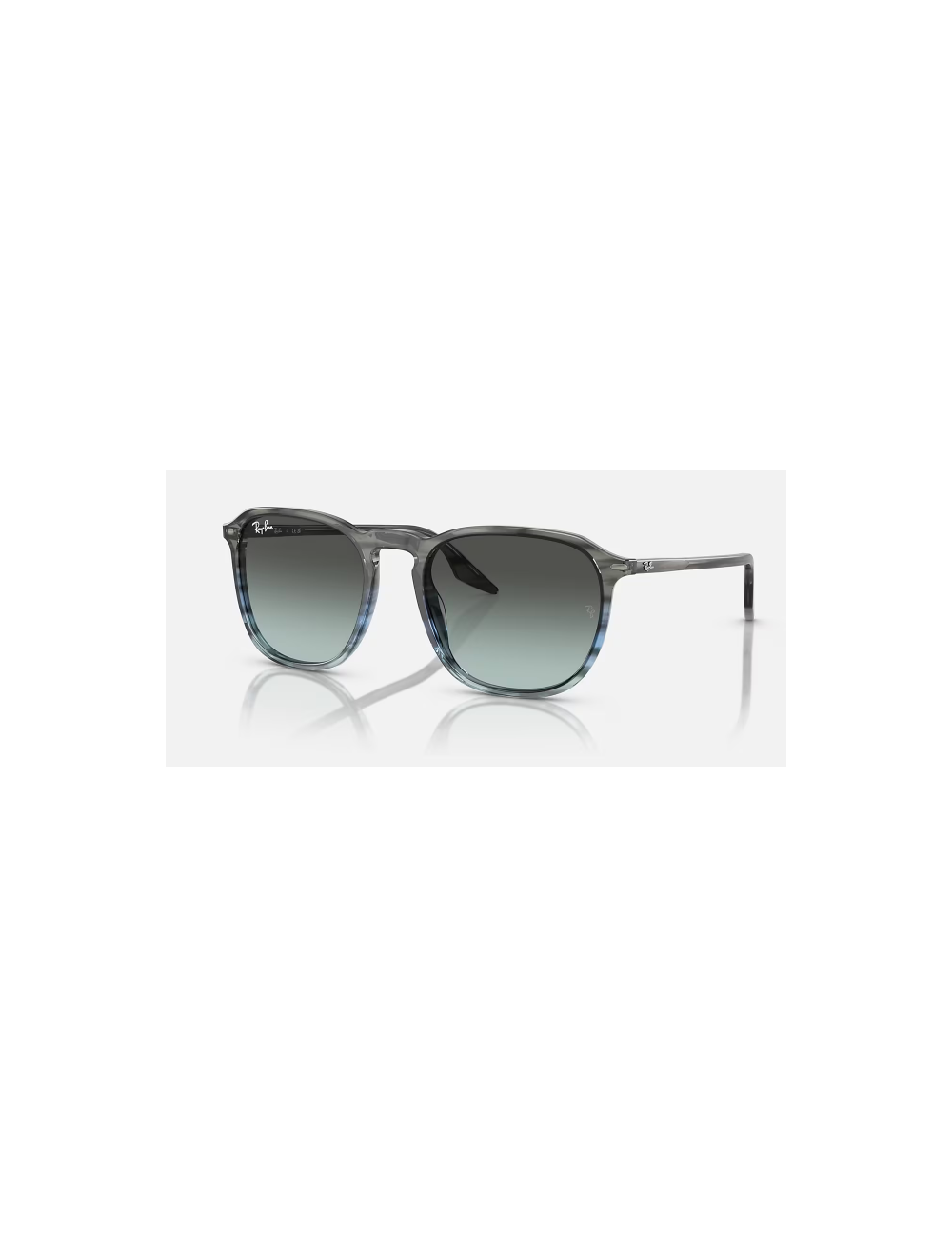 Ray Ban RB2203 1391GK