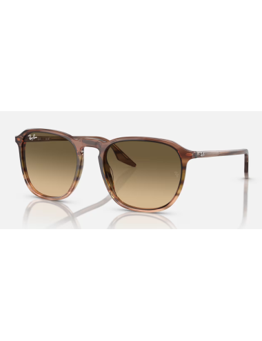 Ray Ban RB2203 man sunglasses