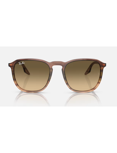 Ray Ban RB2203 man sunglasses