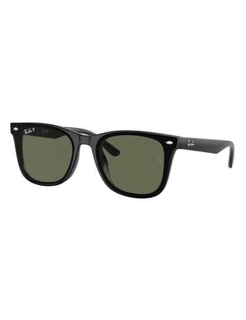 Ray Ban 4220 601/9A polarized