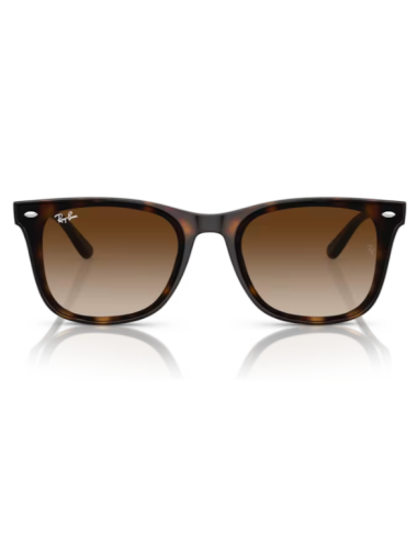 Ray Ban 4420