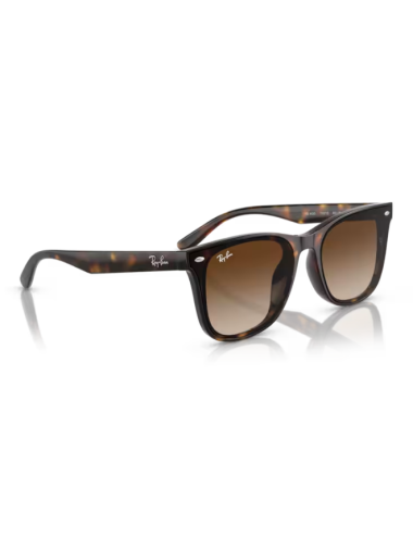 Ray Ban 4420