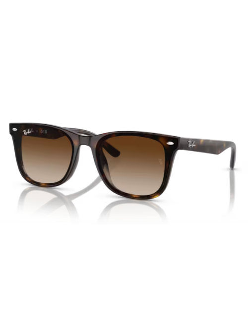 Ray Ban 4420