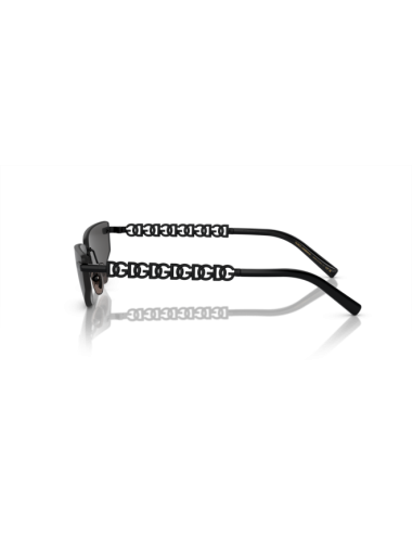 Dolce & Gabbana DG 2301 sunglasses