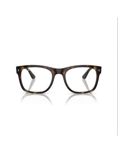 Ray-Ban RX 7228 2012