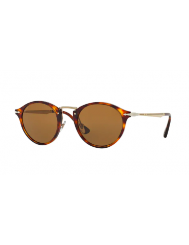 PO3166S man sunglasses Calligrapher Edition 24/57