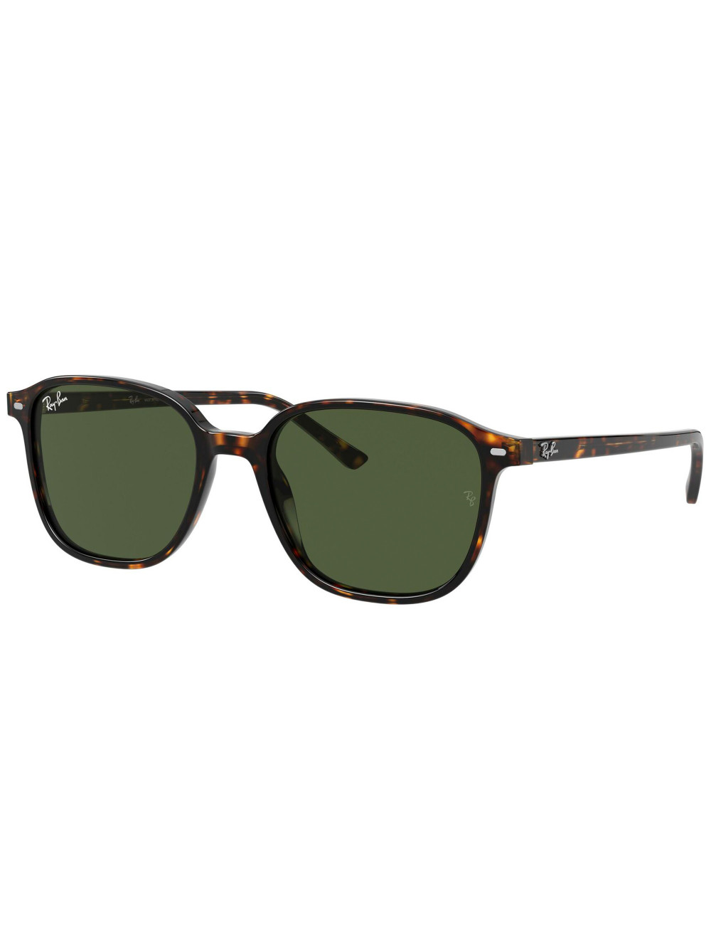 Ray Ban Leonard RB2193 902/31