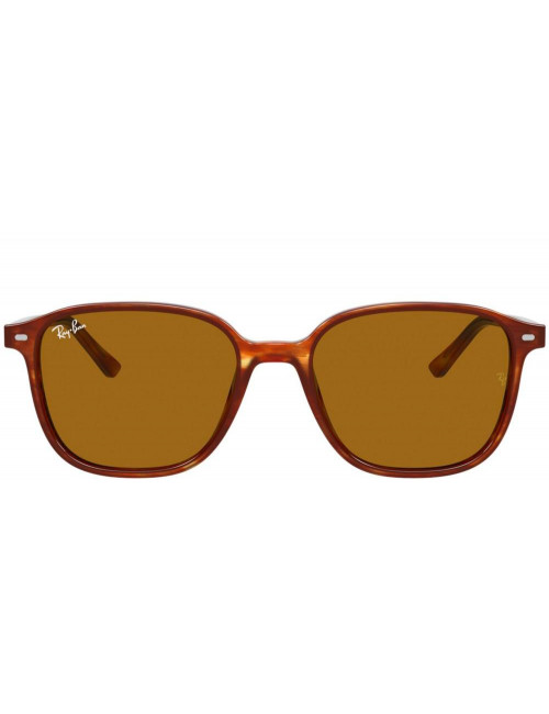 Ray Ban Leonard RB2193 954/33