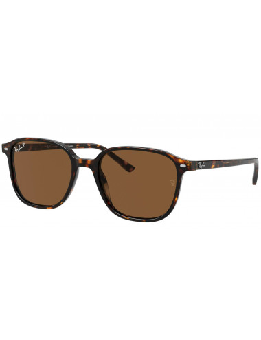 Ray Ban Leonard RB2193 902/57